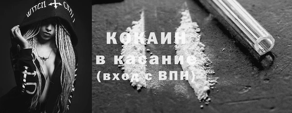 винт Абаза