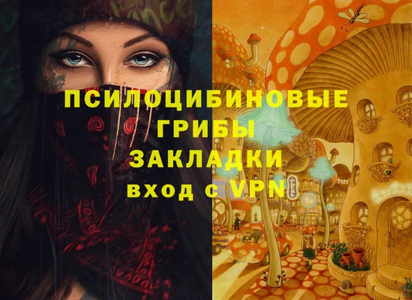 шишки Нефтегорск