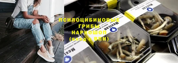 винт Абаза
