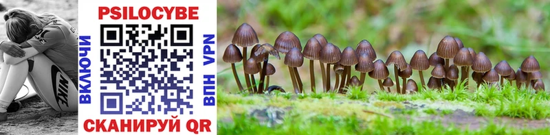 Псилоцибиновые грибы Magic Shrooms  Александров 